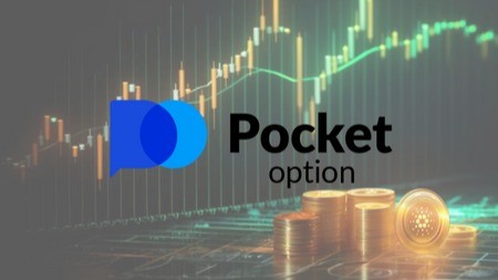 Pocket Option Reviews все, что нужно знать о платформе Pocket Option Reviews все, что нужно знать о платформе